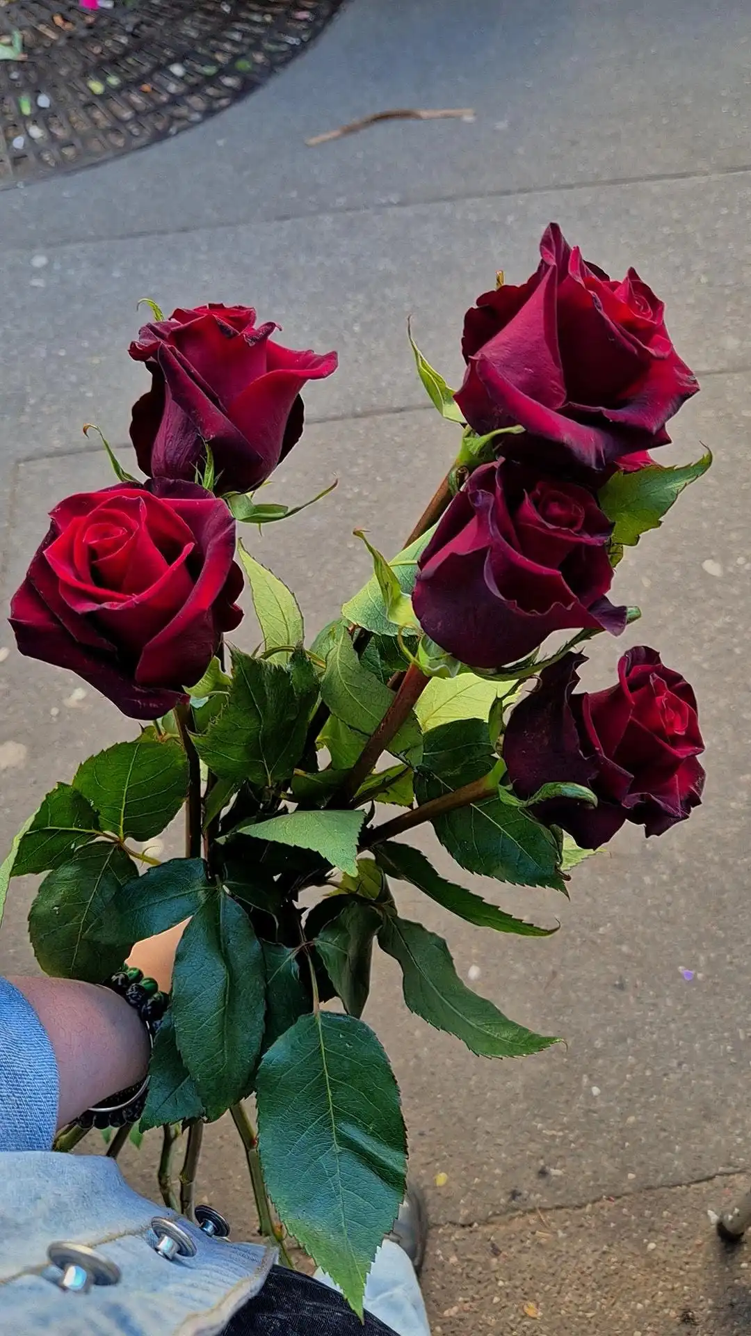 Une rose peinte à la main