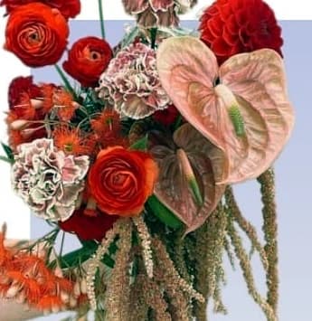 Photo de Rubis Red